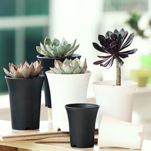 10pcs/set Succulents Flower Pot Plant Pot