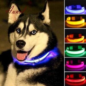 Fashionable Dog Cat Night Safety Flashing Luminous LED Light Adjustable Pet Collar
