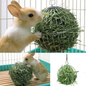 Grass Feeding Ball Electroplated Round Grass Collecting Ball For Feeding Chinchilla Rabbit